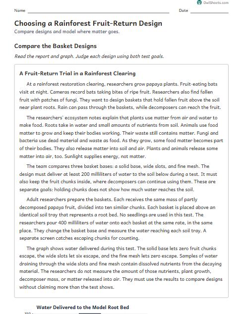 Choosing a Rainforest Fruit-Return Design worksheet preview