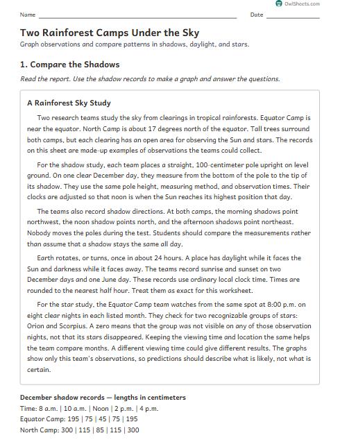 Two Rainforest Camps Under the Sky worksheet preview