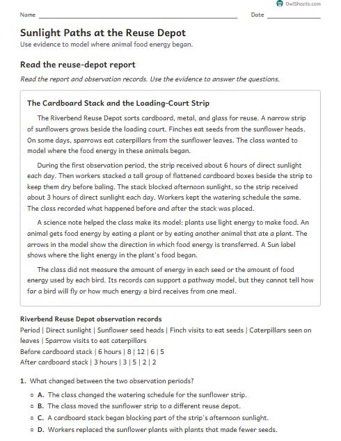 Sunlight Paths at the Reuse Depot worksheet preview