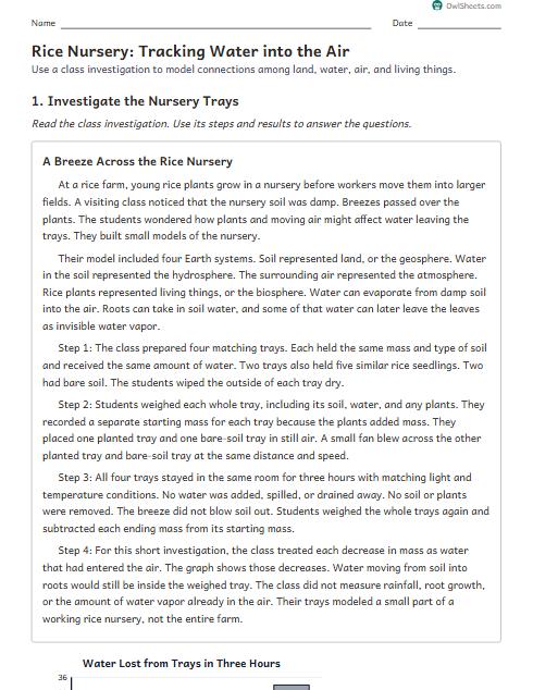 Rice Nursery: Tracking Water into the Air worksheet preview