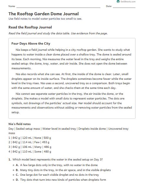 The Rooftop Garden Dome Journal worksheet preview
