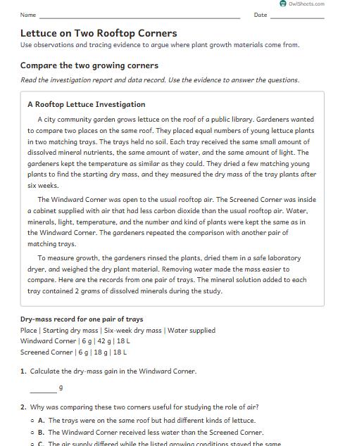 Lettuce on Two Rooftop Corners worksheet preview