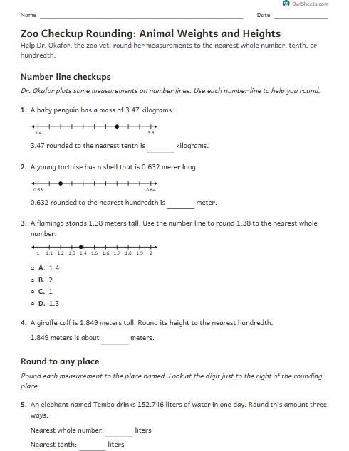 Zoo Checkup Rounding: Animal Weights and Heights worksheet preview