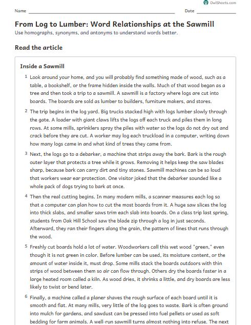 From Log to Lumber: Word Relationships at the Sawmill worksheet preview