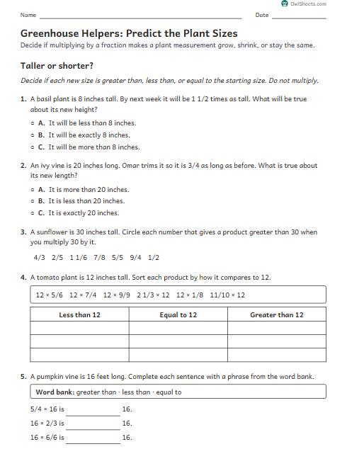 Greenhouse Helpers: Predict the Plant Sizes worksheet preview