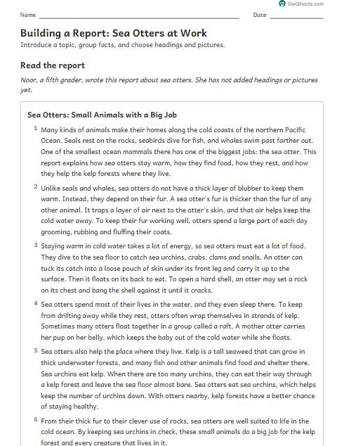 Building a Report: Sea Otters at Work worksheet preview