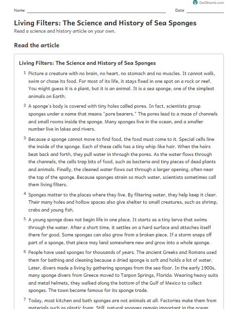 Living Filters: The Science and History of Sea Sponges worksheet preview
