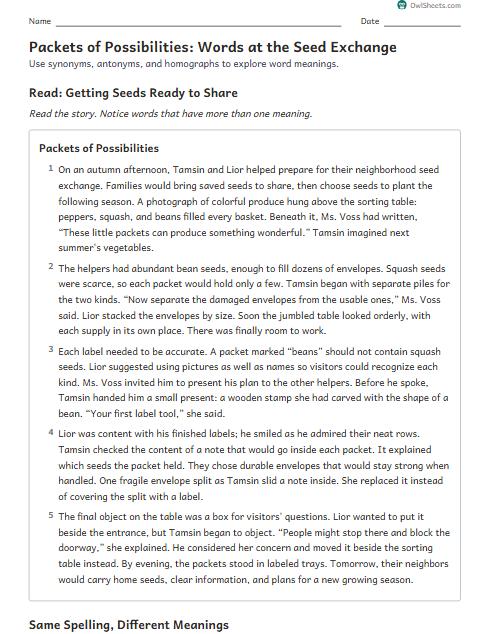 Packets of Possibilities: Words at the Seed Exchange worksheet preview