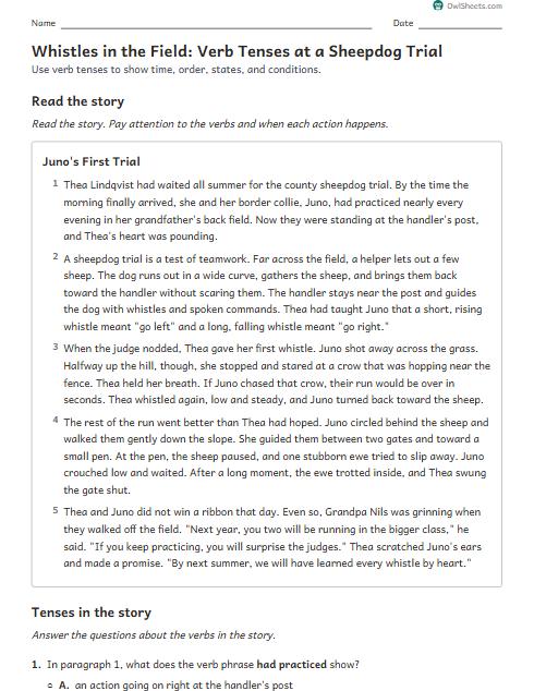 Whistles in the Field: Verb Tenses at a Sheepdog Trial worksheet preview