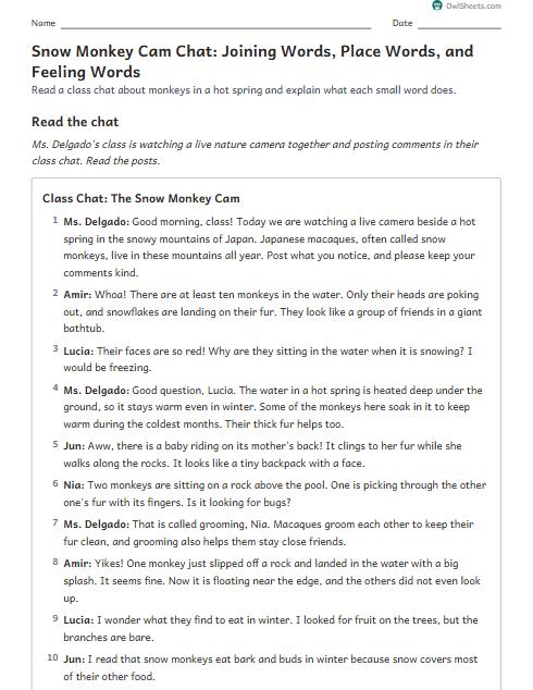 Snow Monkey Cam Chat: Joining Words, Place Words, and Feeling Words worksheet preview