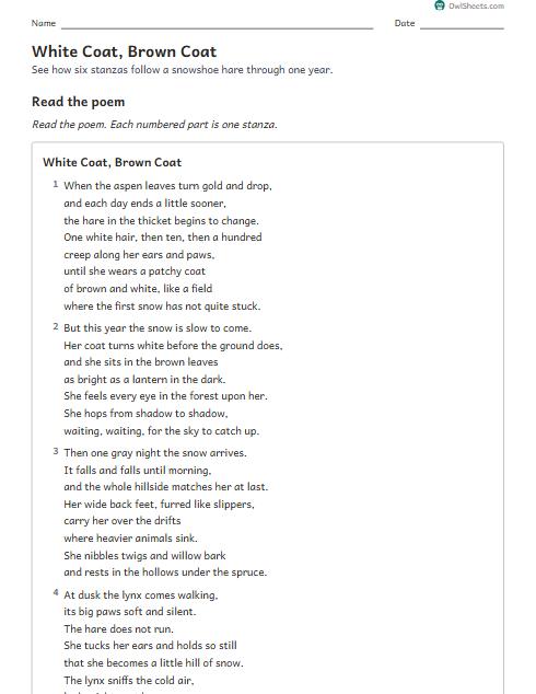 White Coat, Brown Coat worksheet preview