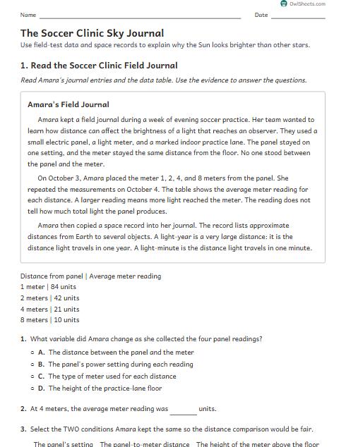 The Soccer Clinic Sky Journal worksheet preview