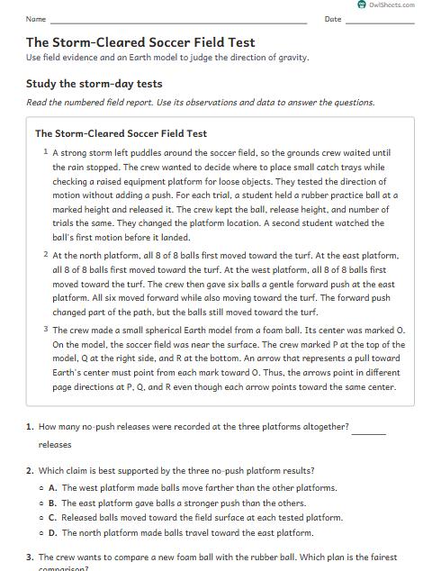 The Storm-Cleared Soccer Field Test worksheet preview