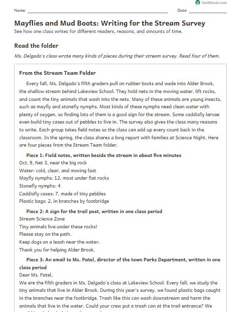 Mayflies and Mud Boots: Writing for the Stream Survey worksheet preview