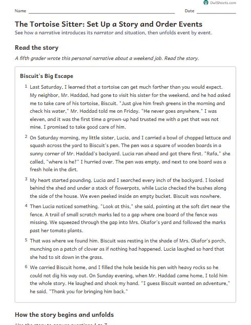 The Tortoise Sitter: Set Up a Story and Order Events worksheet preview
