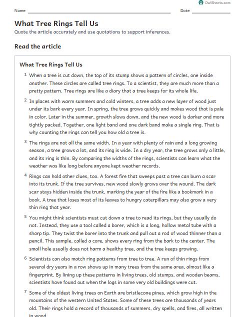 What Tree Rings Tell Us worksheet preview
