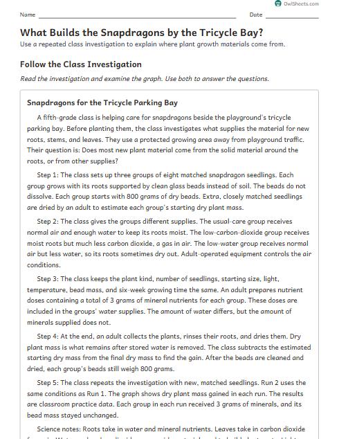 What Builds the Snapdragons by the Tricycle Bay? worksheet preview