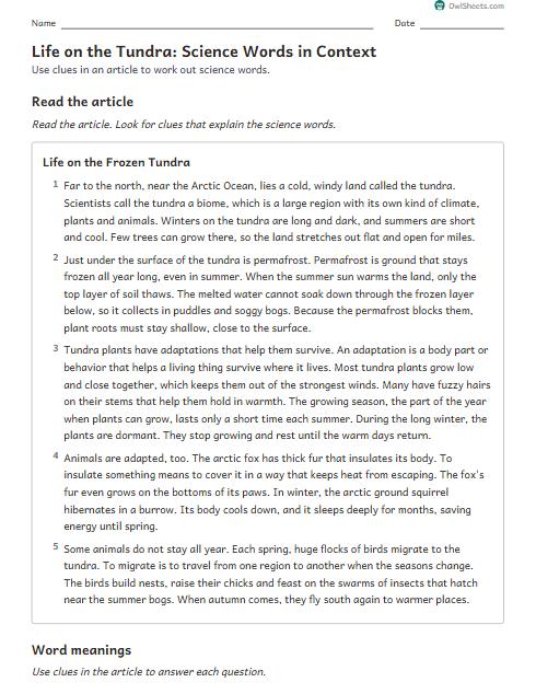 Life on the Tundra: Science Words in Context worksheet preview