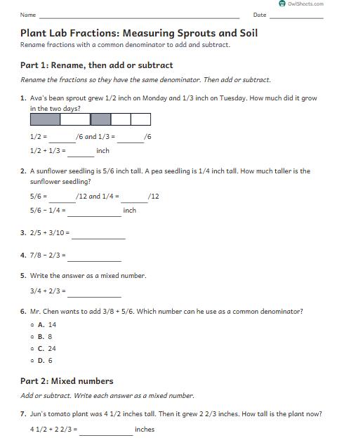 Plant Lab Fractions: Measuring Sprouts and Soil worksheet preview