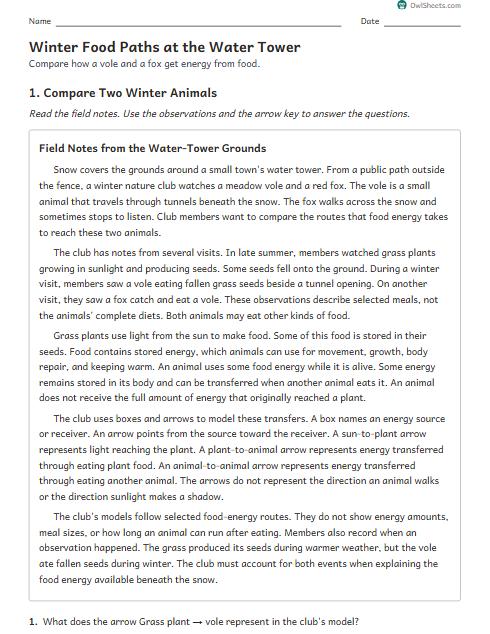 Winter Food Paths at the Water Tower worksheet preview
