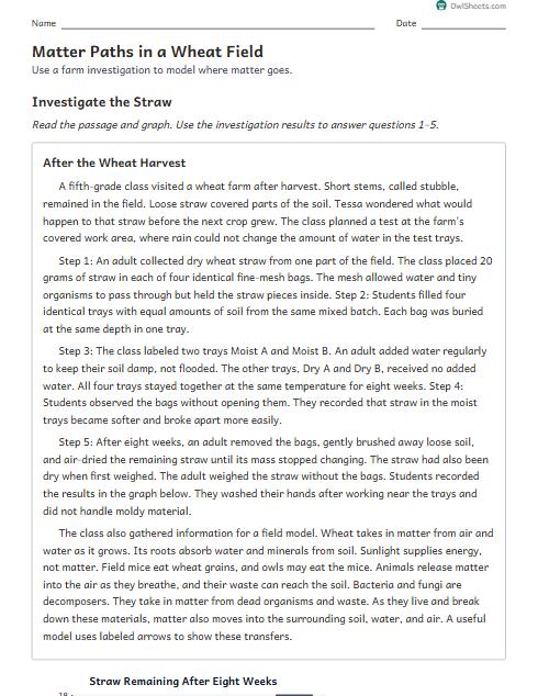 Matter Paths in a Wheat Field worksheet preview
