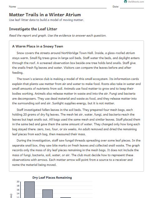 Matter Trails in a Winter Atrium worksheet preview