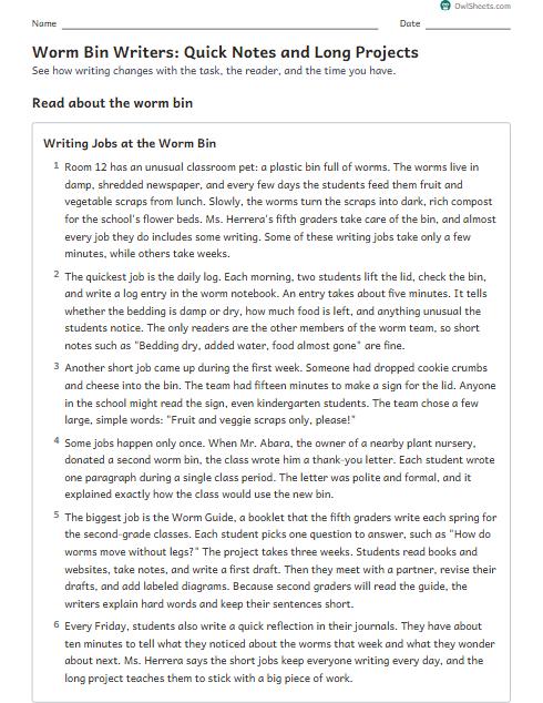 Worm Bin Writers: Quick Notes and Long Projects worksheet preview