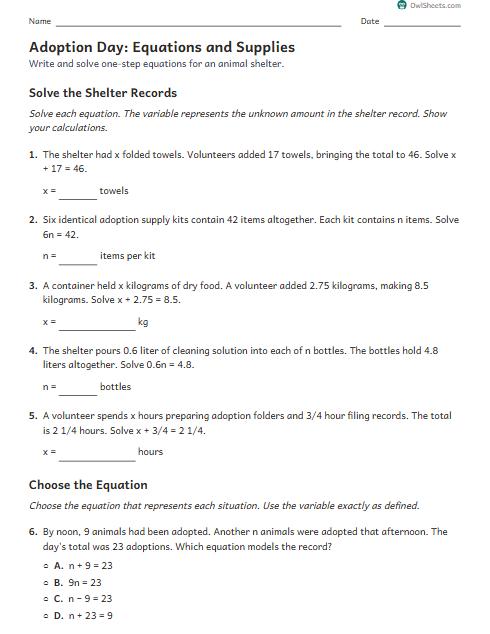 Adoption Day: Equations and Supplies worksheet preview