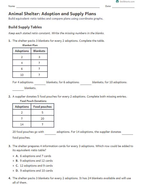 Animal Shelter: Adoption and Supply Plans worksheet preview