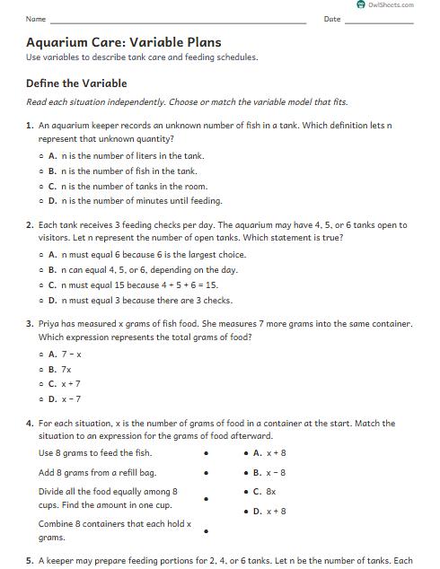 Aquarium Care: Variable Plans worksheet preview