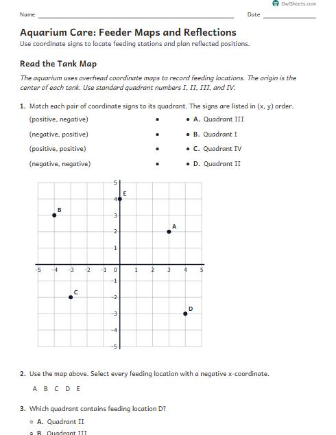 Aquarium Care: Feeder Maps and Reflections worksheet preview