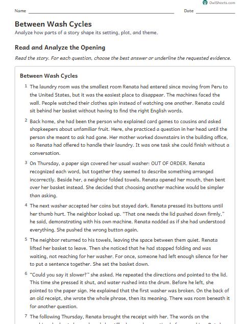 Between Wash Cycles worksheet preview