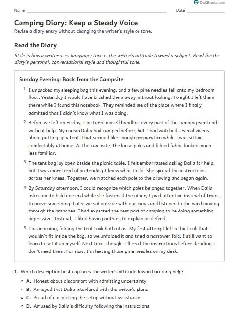 Camping Diary: Keep a Steady Voice worksheet preview