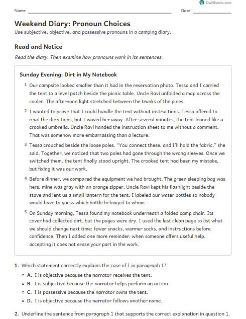 Weekend Diary: Pronoun Choices worksheet preview