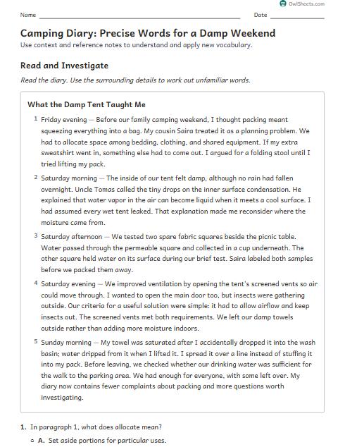 Camping Diary: Precise Words for a Damp Weekend worksheet preview