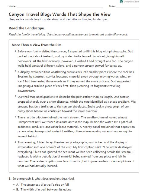 Canyon Travel Blog: Words That Shape the View worksheet preview