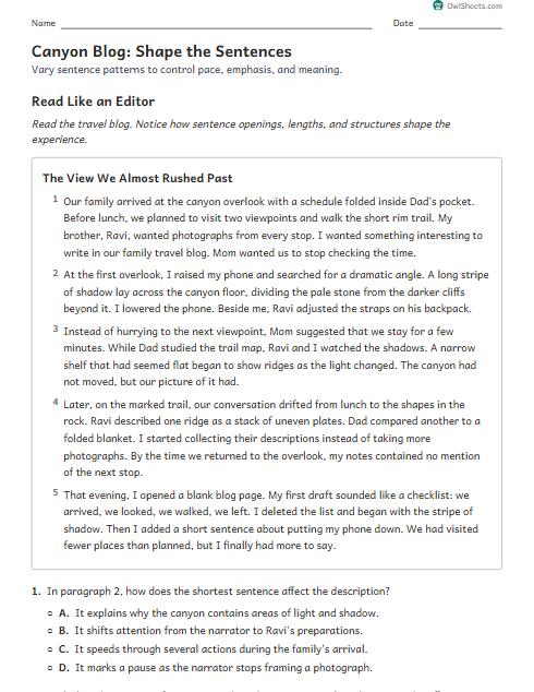 Canyon Blog: Shape the Sentences worksheet preview