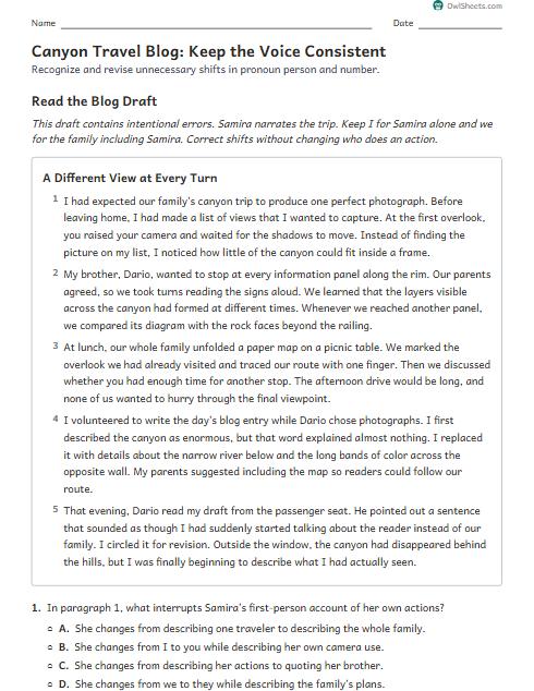Canyon Travel Blog: Keep the Voice Consistent worksheet preview