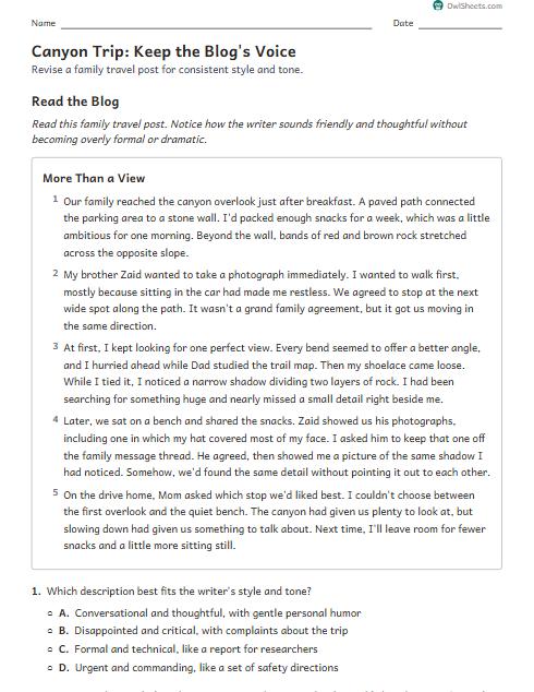 Canyon Trip: Keep the Blog's Voice worksheet preview