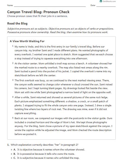 Canyon Travel Blog: Pronoun Check worksheet preview