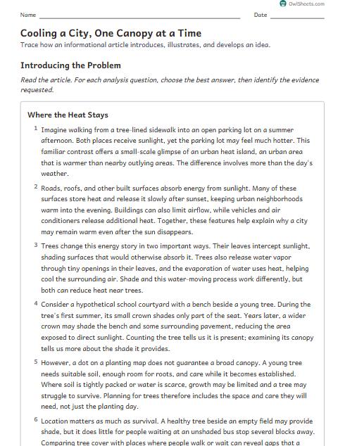 Cooling a City, One Canopy at a Time worksheet preview