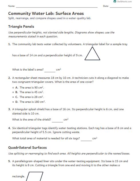 Community Water Lab: Surface Areas worksheet preview
