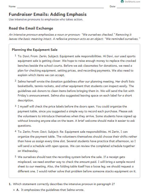 Fundraiser Emails: Adding Emphasis worksheet preview