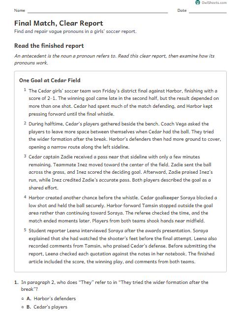 Final Match, Clear Report worksheet preview