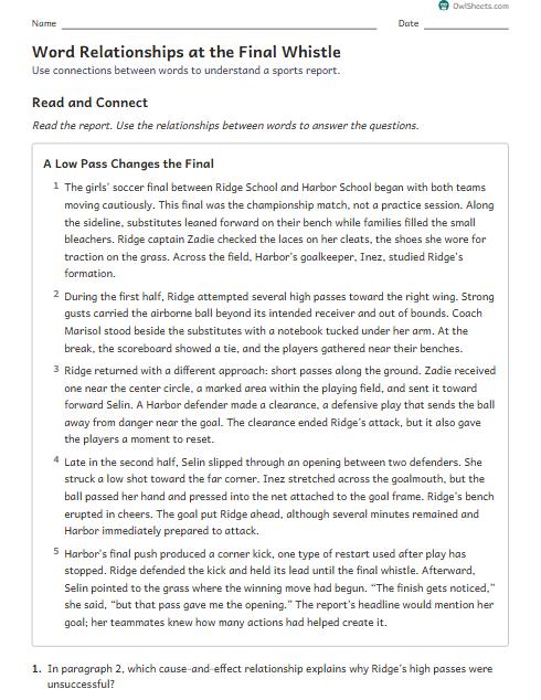 Word Relationships at the Final Whistle worksheet preview