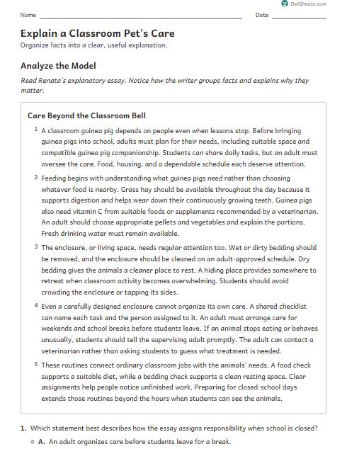 Explain a Classroom Pet's Care worksheet preview