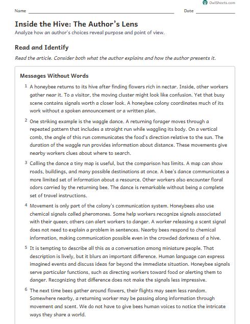 Inside the Hive: The Author’s Lens worksheet preview