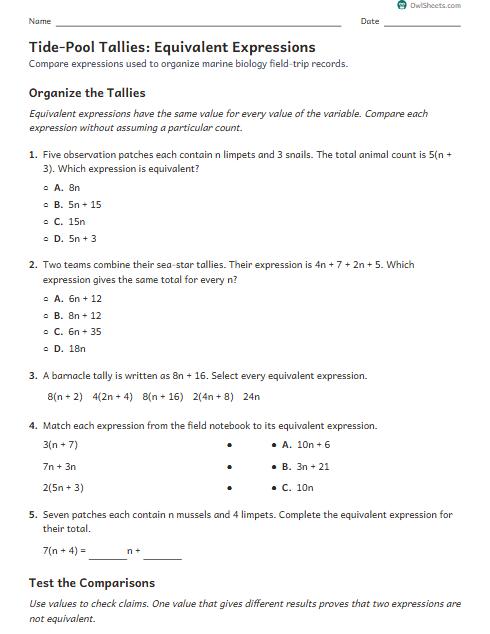 Tide-Pool Tallies: Equivalent Expressions worksheet preview