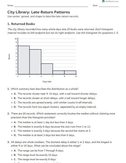 City Library: Late-Return Patterns worksheet preview