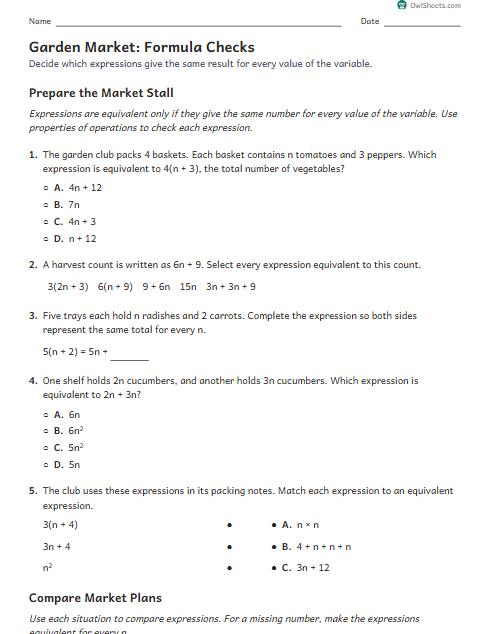 Garden Market: Formula Checks worksheet preview